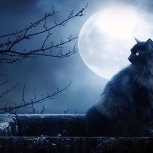 Meet your Posher, Azaria